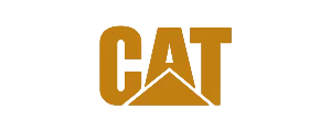 کت (Cat)